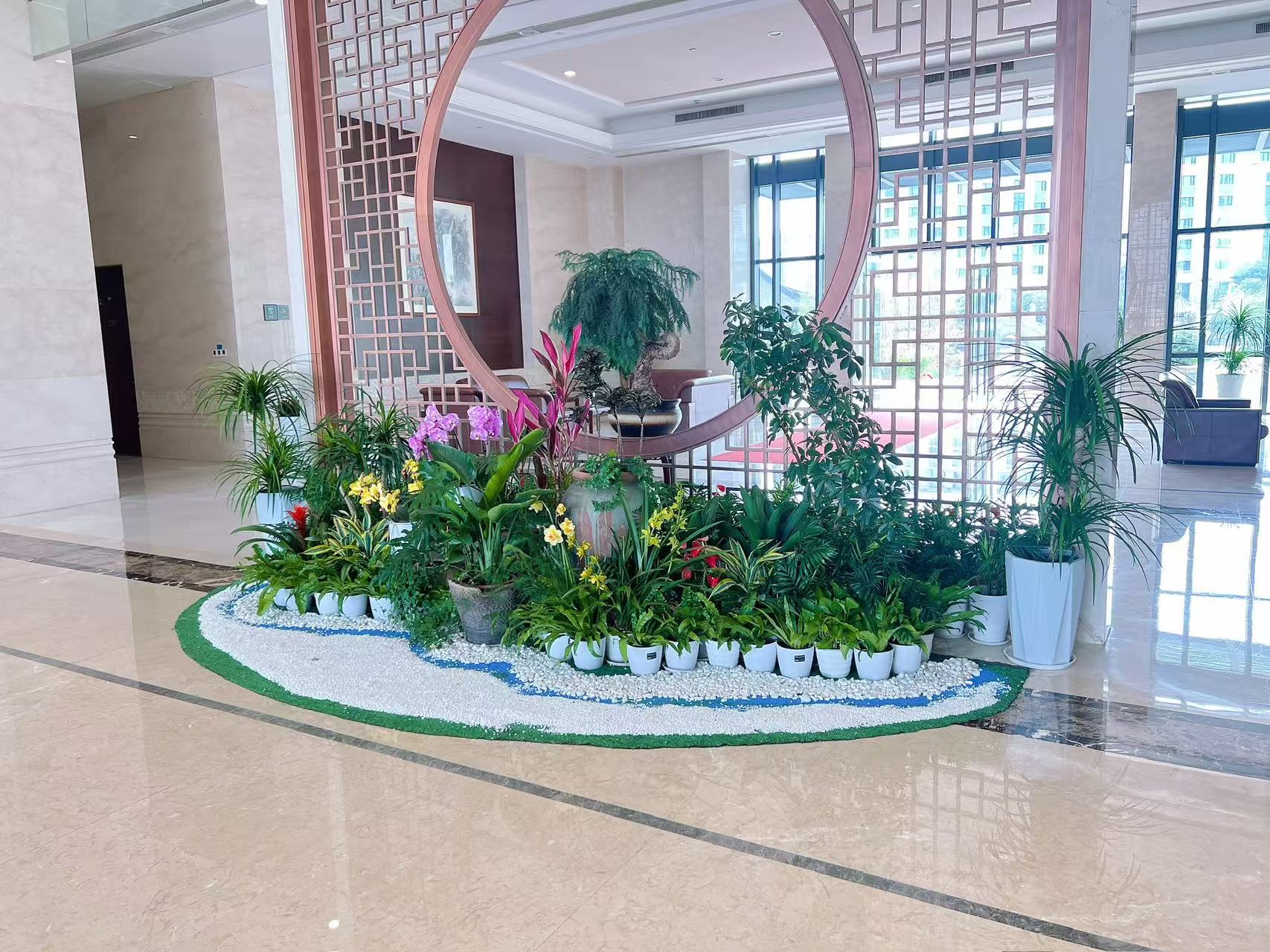 解锁江北植物出租专业，拥抱绿色新生活